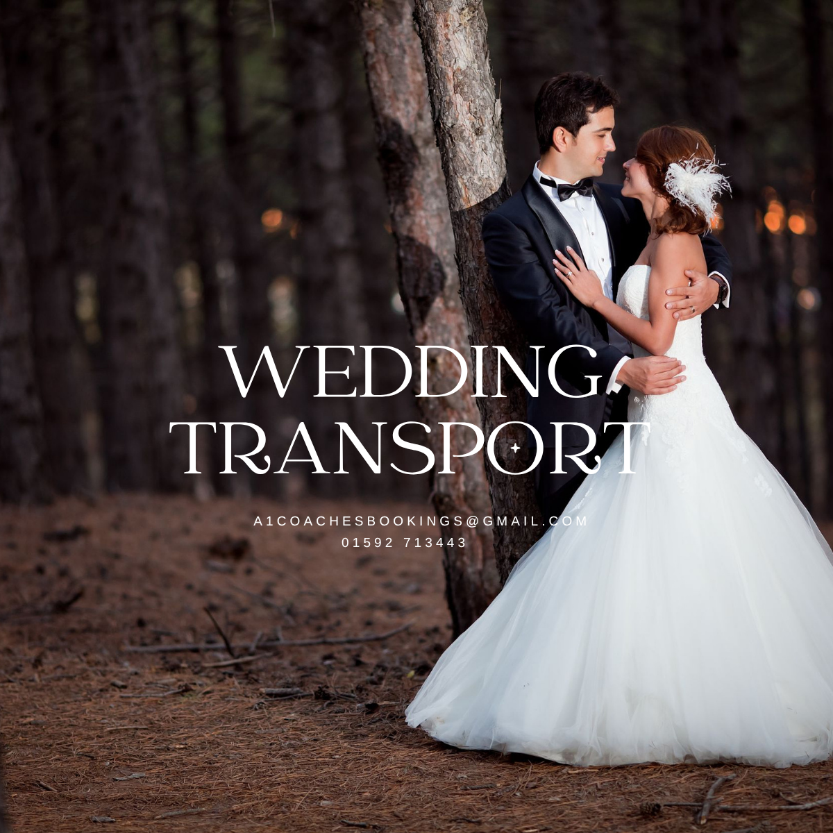 Wedding Transport Fife Scotland by A1 Coaches