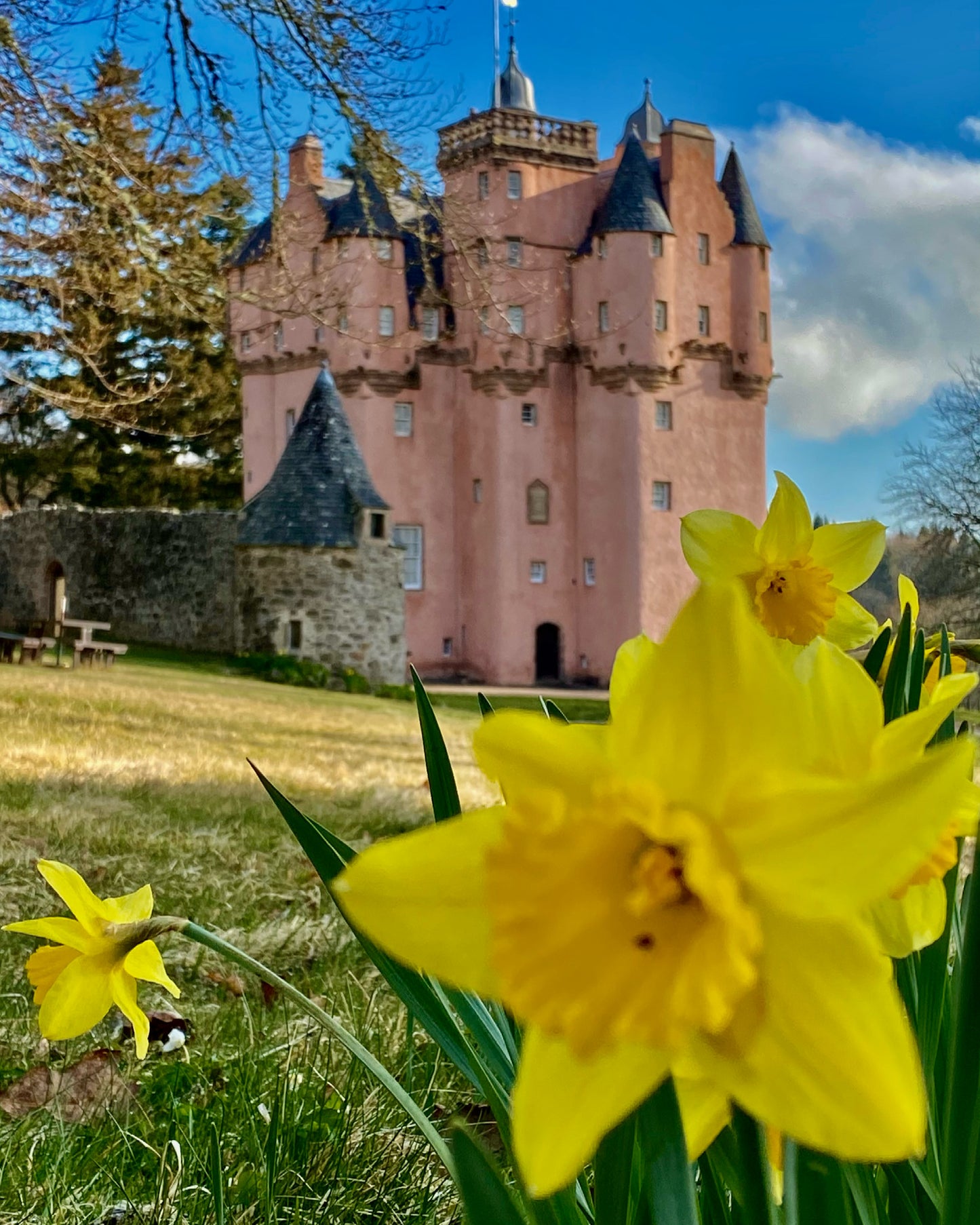 Craigievar Castle